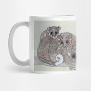 Ring-tailed possum and babies Mug